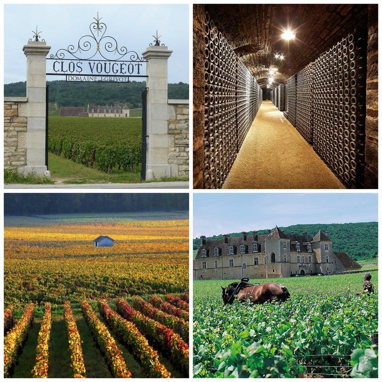 Datcha Bourguignonne Beaune Beaune  Exteriér fotografie